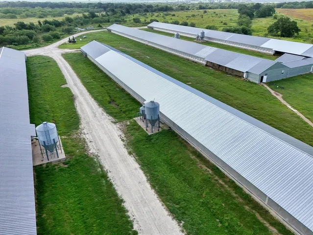 a view of a two chairs in a yard