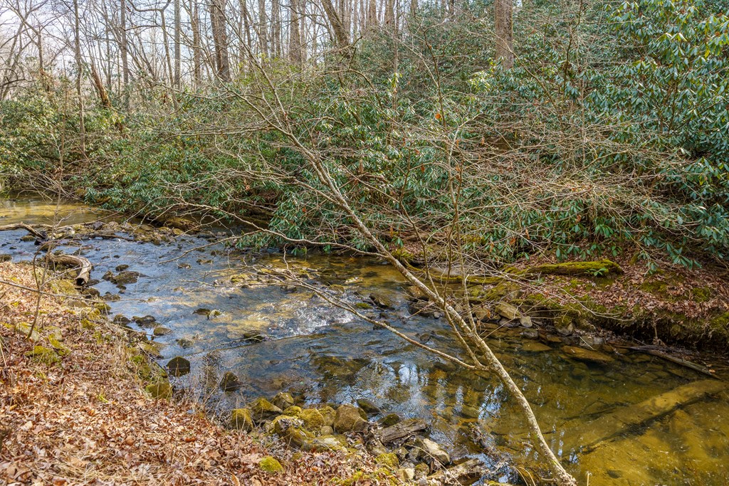 577 Macedonia Church Road Blue Ridge, GA 30513 - Photo 3 of 80