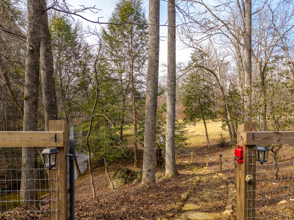 577 Macedonia Church Road Blue Ridge, GA 30513 - Photo 4 of 80