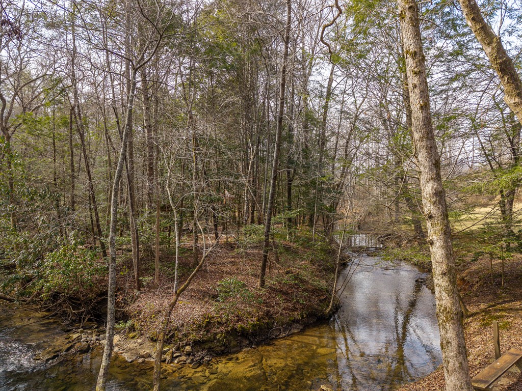 577 Macedonia Church Road Blue Ridge, GA 30513 - Photo 76 of 80