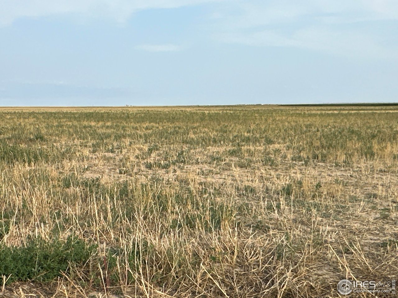10 Pp Road Flagler, CO 80815 - Photo 3 of 8 Gallery Image 3