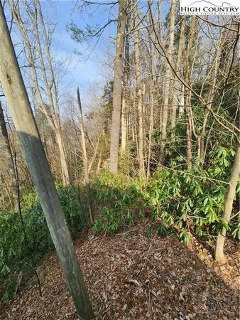 $30,000 | Poplar Ridge Road, Banner Elk, NC 28604