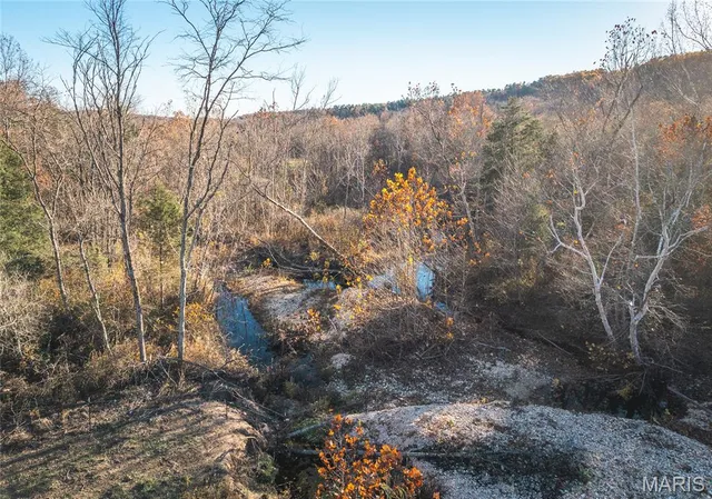 $1,200,000 | 3385 County Road 5615, Bunker, MO 63629