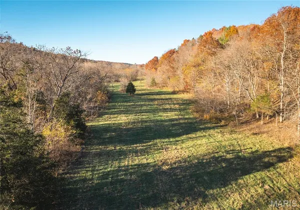 $1 | 3385 County Road 5615, Bunker, MO 63629