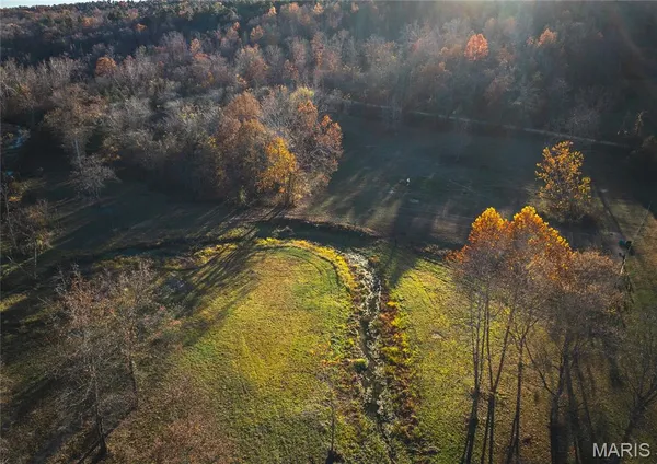 $1 | 3385 County Road 5615, Bunker, MO 63629