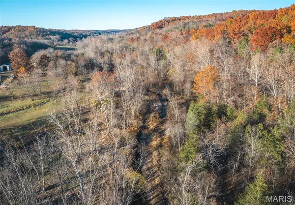 $1 | 3385 County Road 5615, Bunker, MO 63629