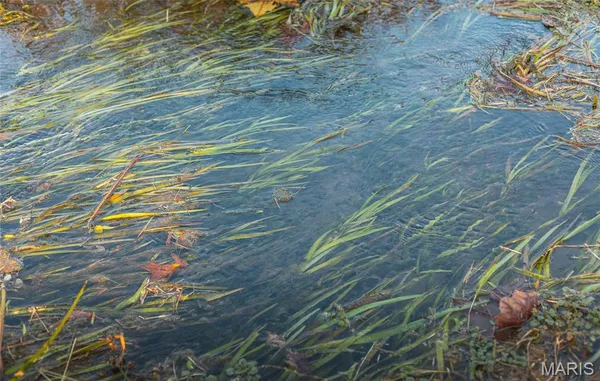 $1 | 3385 County Road 5615, Bunker, MO 63629