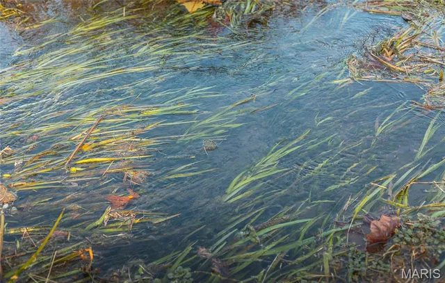 $1,200,000 | 3385 County Road 5615, Bunker, MO 63629