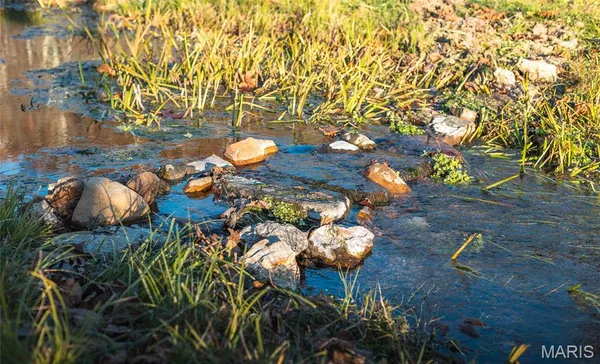 $1 | 3385 County Road 5615, Bunker, MO 63629