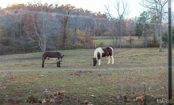 $1 | 3385 County Road 5615, Bunker, MO 63629