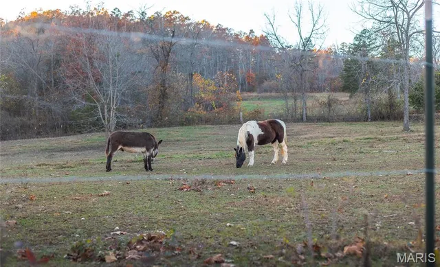 $1,200,000 | 3385 County Road 5615, Bunker, MO 63629