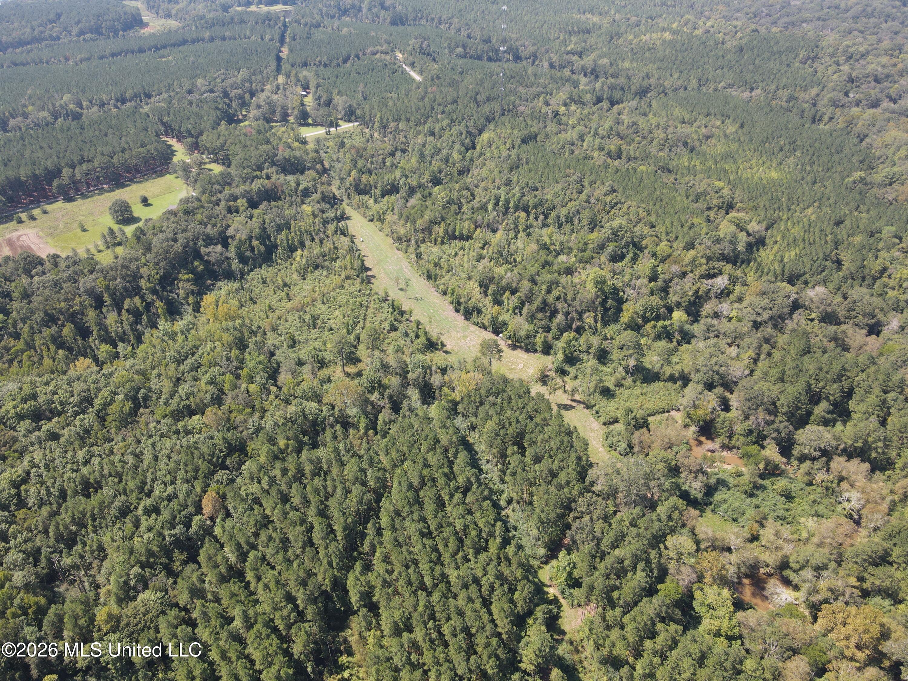 18 Mississippi Raleigh, MS 39153 - Photo 42 of 52 dji_fly_20260914_113542_281_178940384790