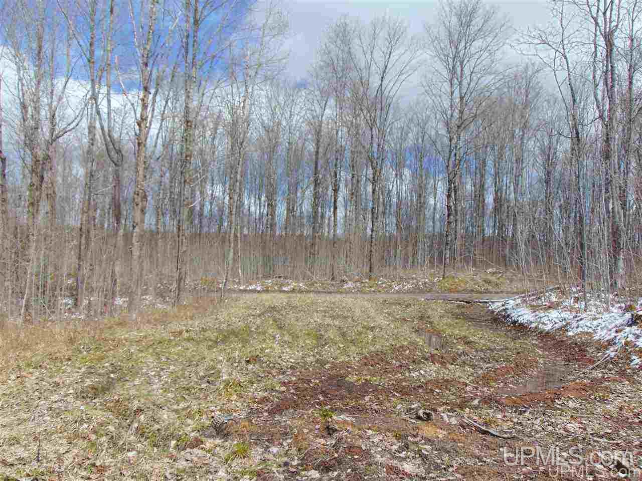 Tbd County Line Lake Road Watersmeet, MI 49969 - Photo 9 of 20 Gallery Image 9