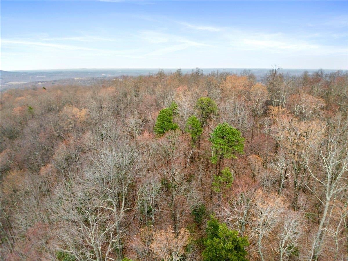 193 Timber Creek Road Stuart, VA 24171 - Photo 78 of 87 Gallery Image 78