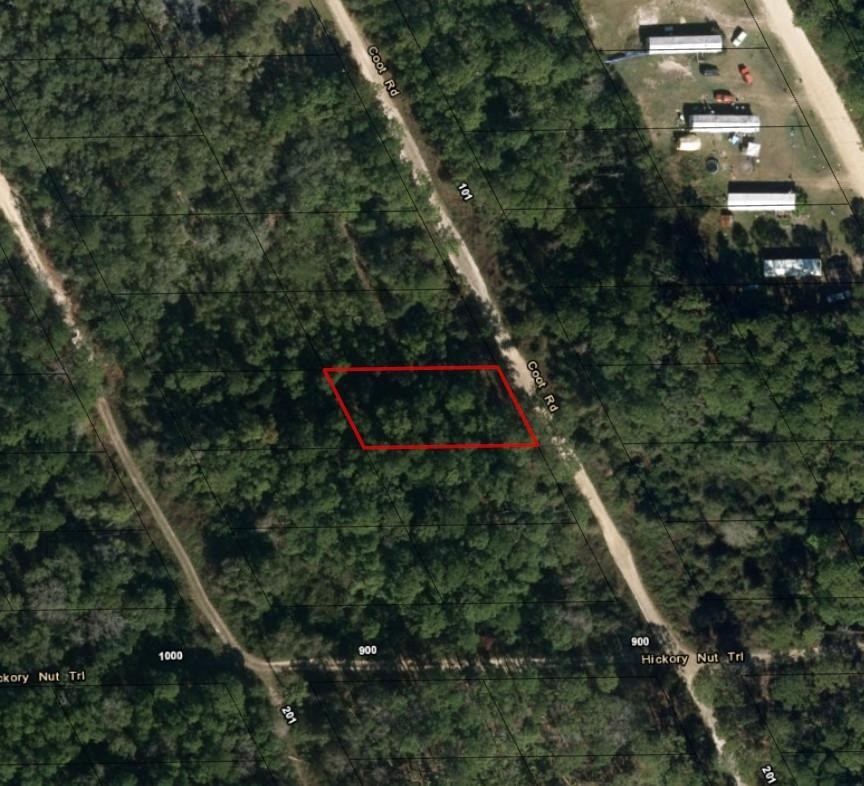 121 Coot Road Satsuma, FL 32189 - Photo 2 of 2 Photo 2