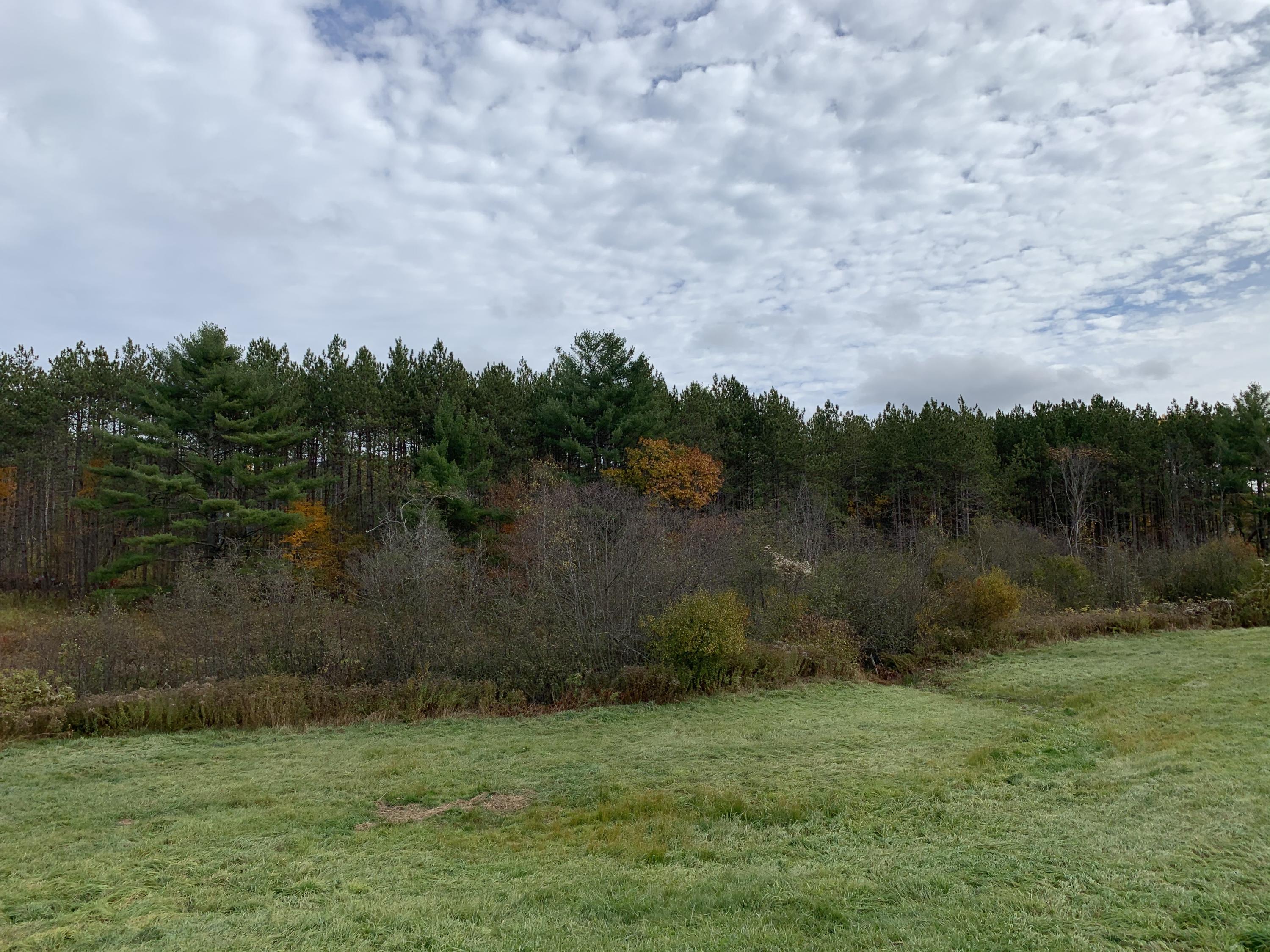 163 Pleasant Valley Road Cumberland Center, ME 04021 - Photo 10 of 22 Photo Oct 20, 1 42 29 PM