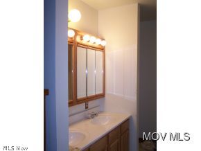 2247 Ripley Road Spencer, WV 25276 - Photo 11 of 24 New Master bath