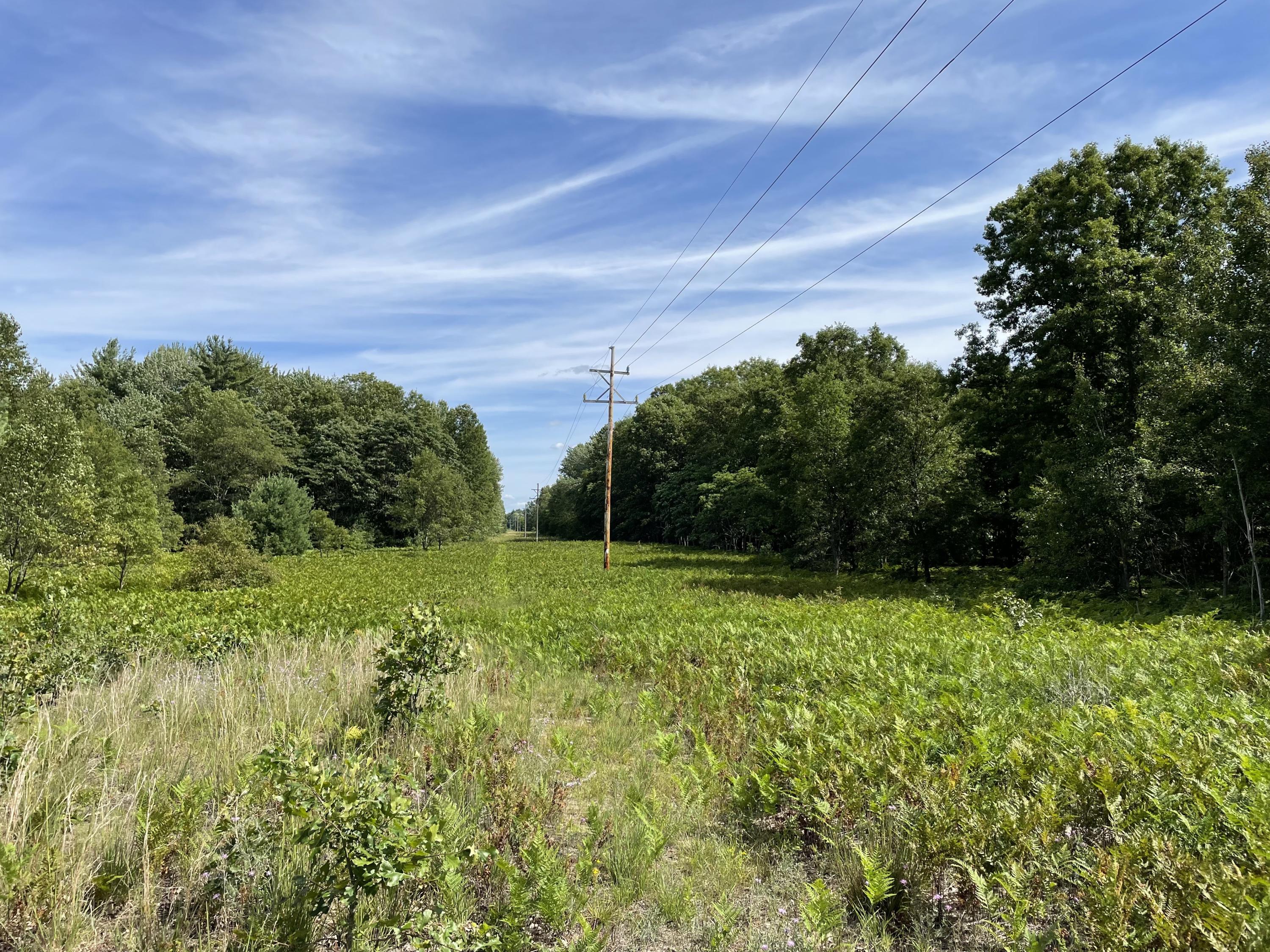 Vl Todd Road, Unit B Whitehall, MI 49461 - Photo 2 of 11 IMG_3