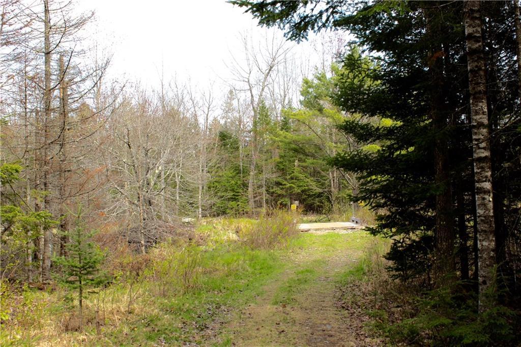 0 Higgins Road North Searsmont, ME 04973 - Photo 7 of 13 Photo