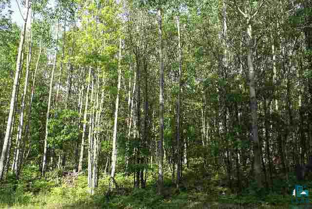3 West Spider Lake Road Iron River, WI 54847 - Photo 1 of 1 Gallery Image 1
