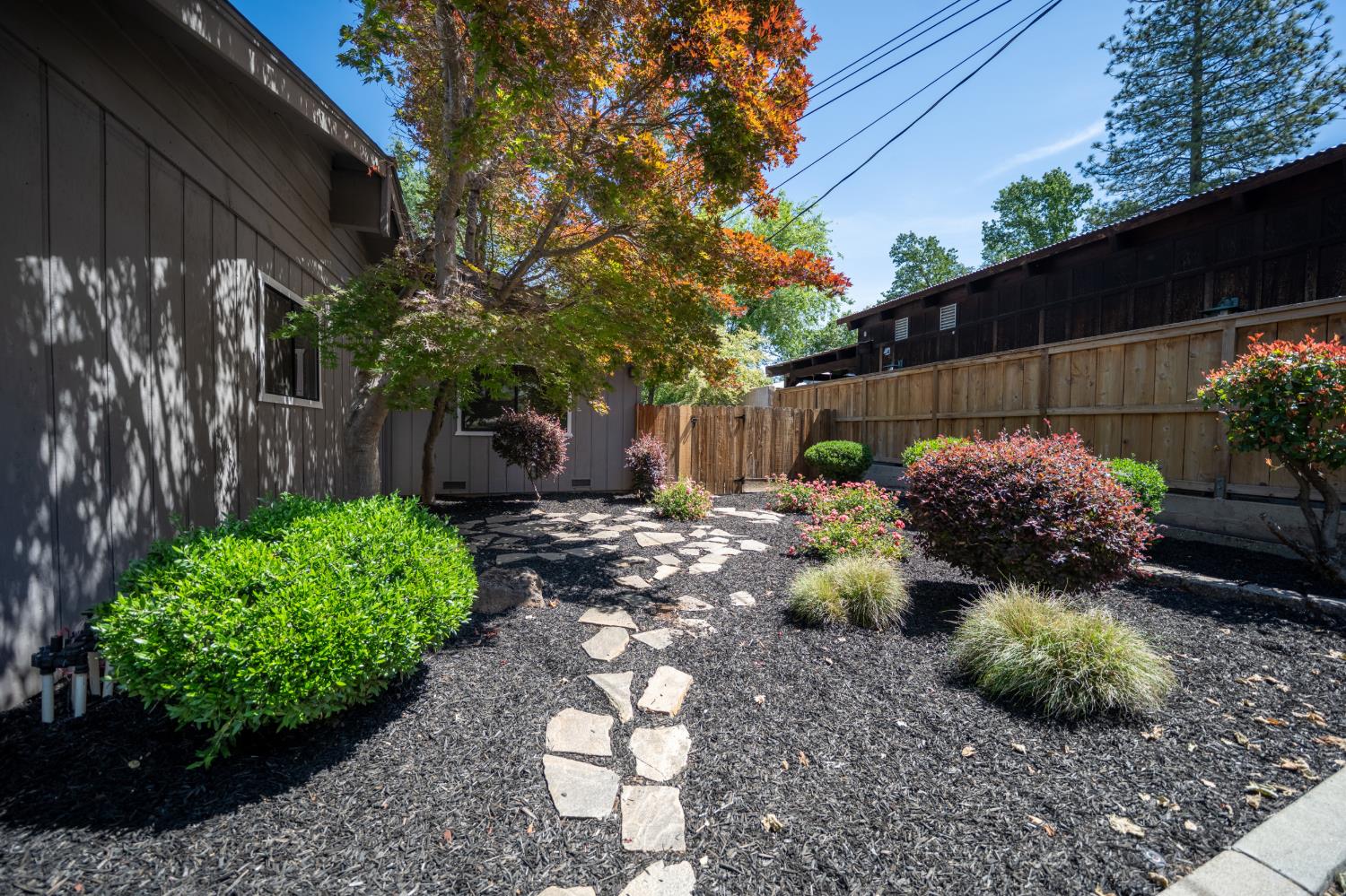 118 Main Street Murphys, CA 95247 - Photo 44 of 47 a view of a backyard with potted plants and large tree