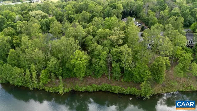 an aerial view of houses covered in trees
