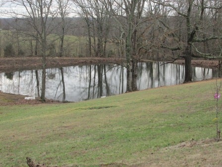 65 Napier Road Scottsville, KY 42164 - Photo 6 of 31 Gallery Image 6