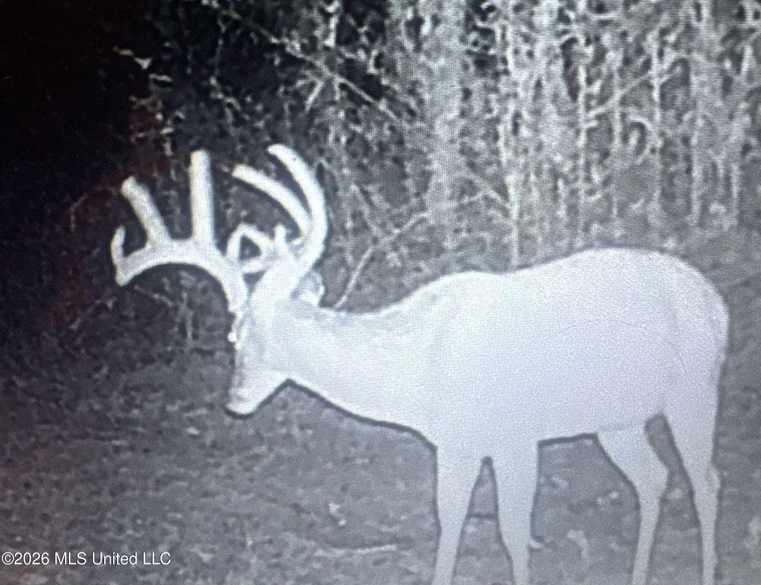 884 Avant Road Crenshaw, MS 38621 - Photo 11 of 154 2dbyicr8