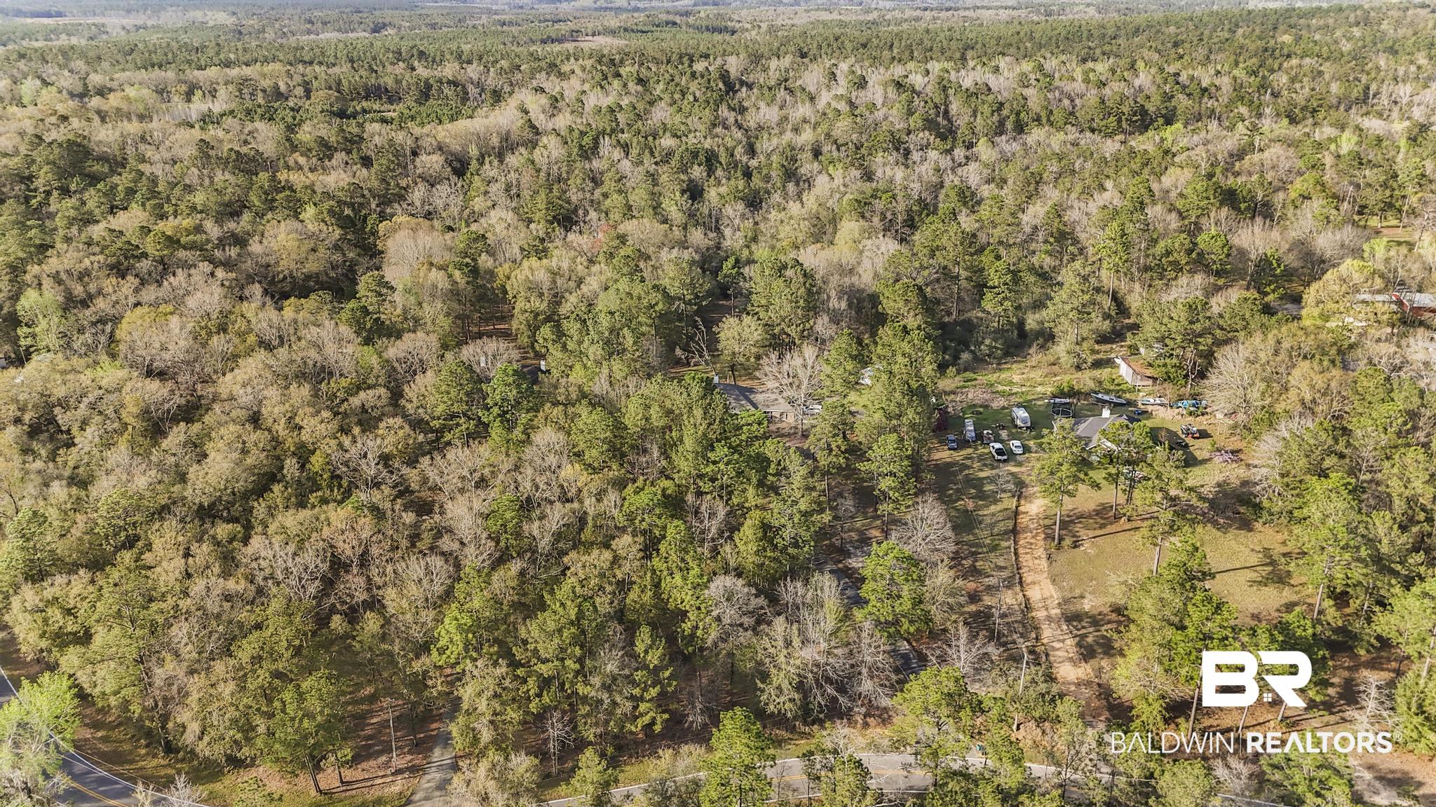 8077 Hooks Road Bay Minette, AL 36507 - Photo 46 of 48 Bird's eye view of a heavily wooded area