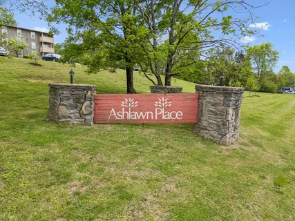 a view of a park with a tree