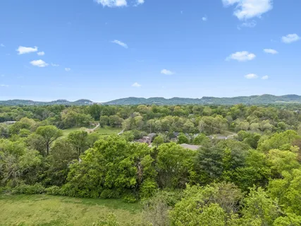 a view of a big yard with lots of green space