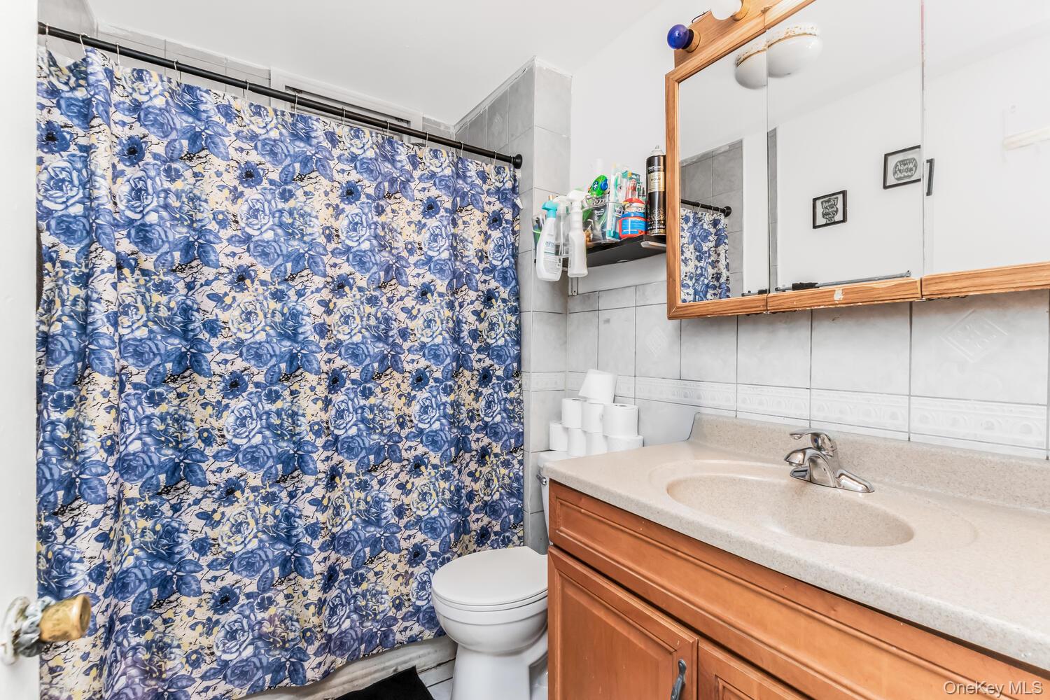 32 Alexander Avenue Yonkers, NY 10704 - Photo 12 of 16 a bathroom with a sink toilet and mirror