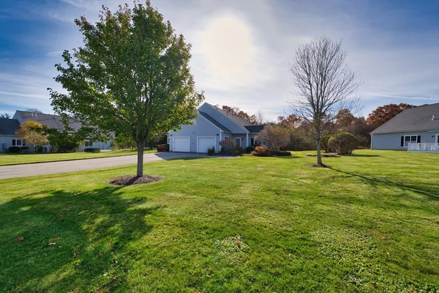 a view of backyard with green space