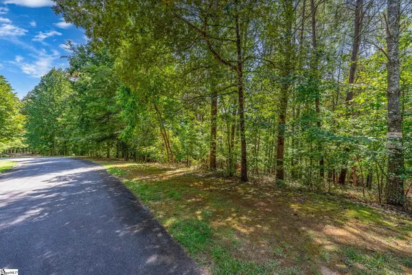 $50,000 | 111 Sweetshrub Way, Sunset, SC 29685