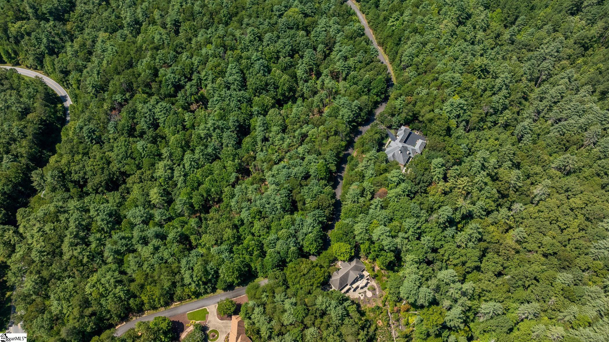 111 Sweetshrub Way Sunset, SC 29685 - Photo 11 of 23