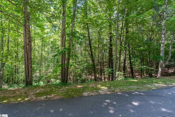 $50,000 | 111 Sweetshrub Way, Sunset, SC 29685
