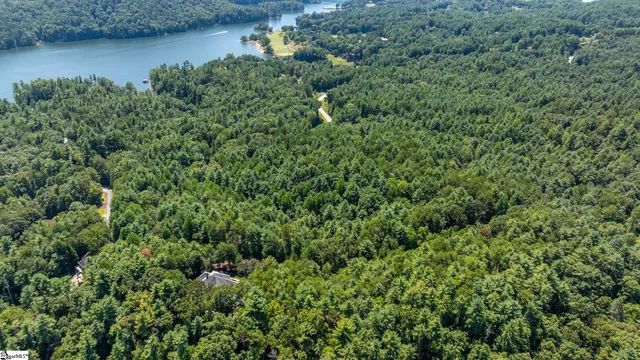 $60,000 | 111 Sweetshrub Way, Sunset, SC 29685