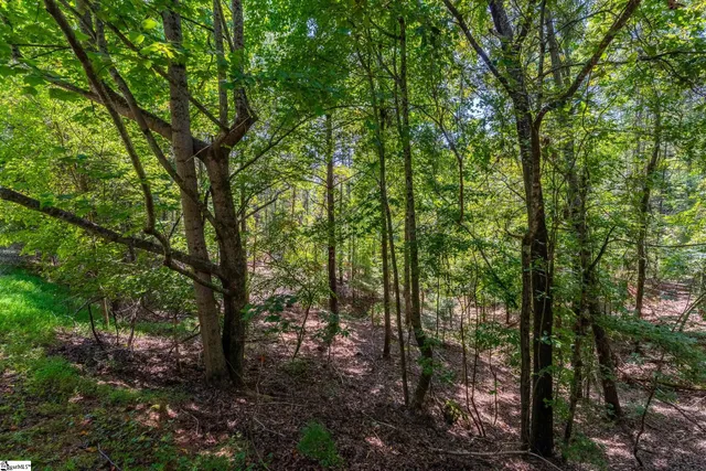 $60,000 | 111 Sweetshrub Way, Sunset, SC 29685