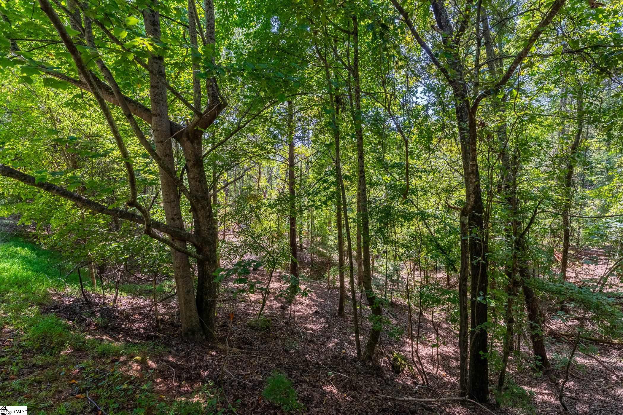 111 Sweetshrub Way Sunset, SC 29685 - Photo 2 of 23