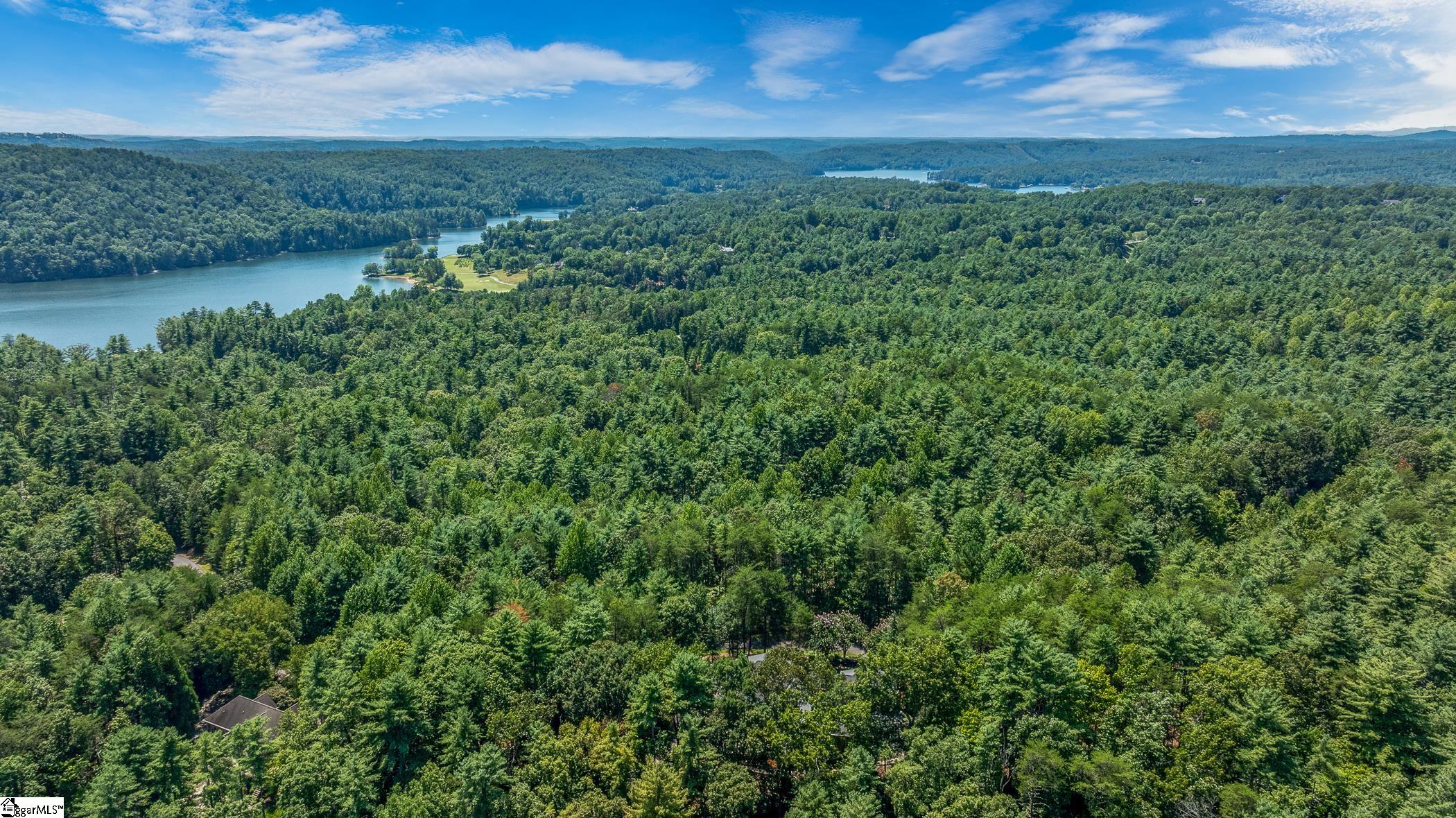 111 Sweetshrub Way Sunset, SC 29685 - Photo 22 of 23