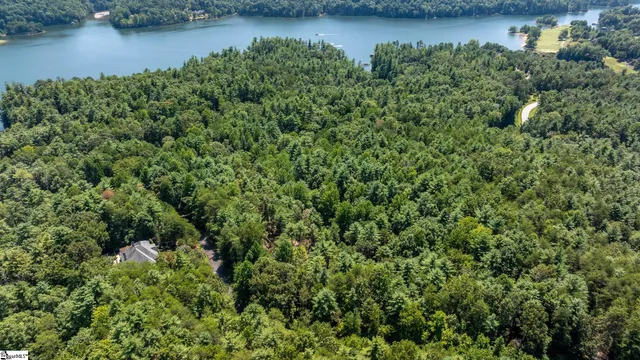 $60,000 | 111 Sweetshrub Way, Sunset, SC 29685