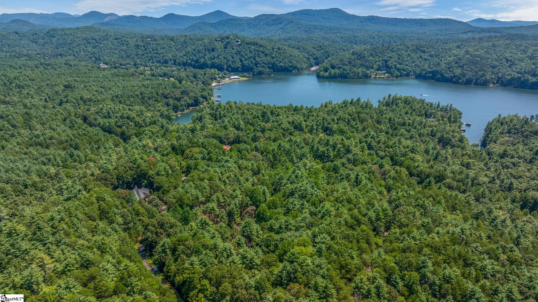 111 Sweetshrub Way Sunset, SC 29685 - Photo 4 of 23