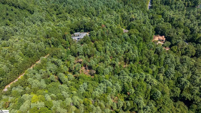 $60,000 | 111 Sweetshrub Way, Sunset, SC 29685