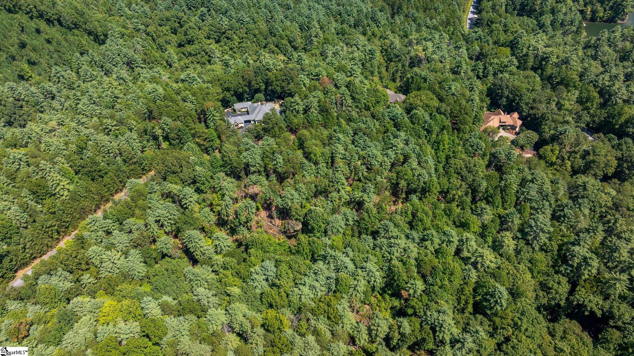 111 Sweetshrub Way Sunset, SC 29685 - Photo 6 of 23