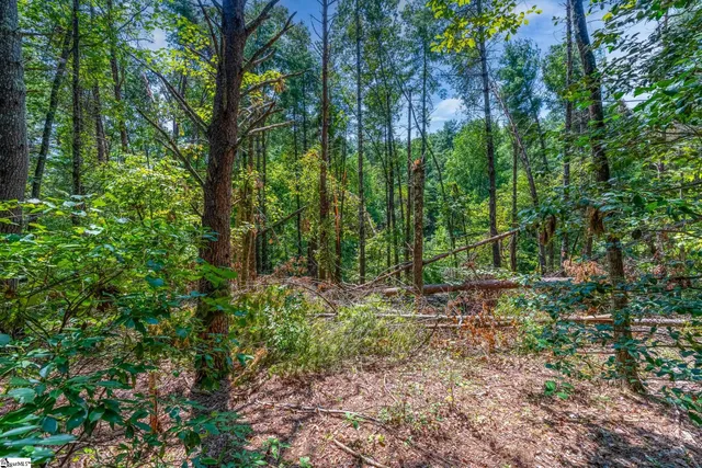 $60,000 | 111 Sweetshrub Way, Sunset, SC 29685