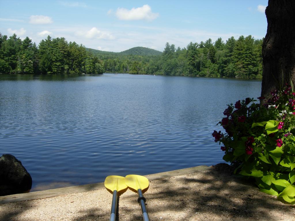 48 Zinns Road Stoddard, NH 03464 - Photo 4 of 13