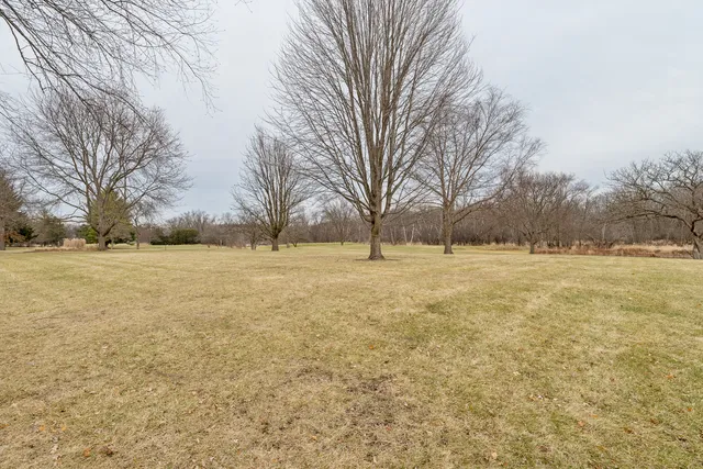 a view of yard covered with snow
