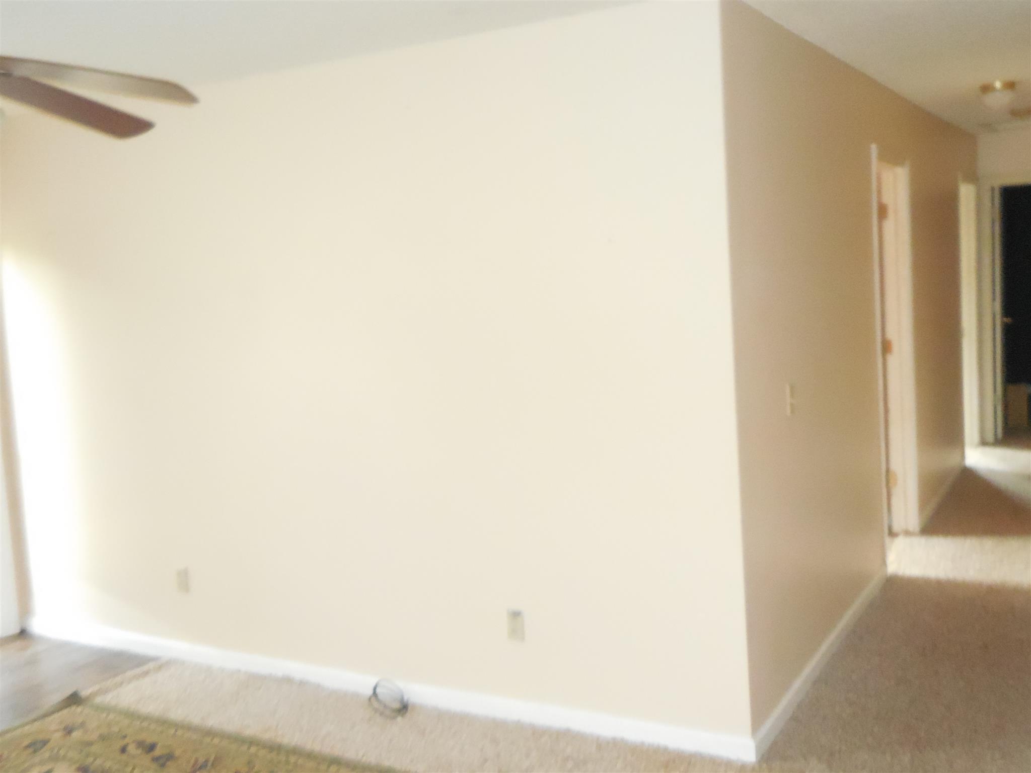 646 Mimosa Road Fayetteville, TN 37334 - Photo 11 of 17 Hallway