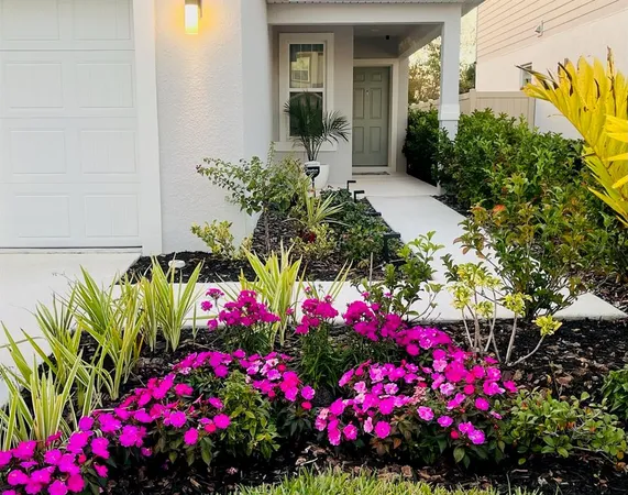 a view of a flower in a yard