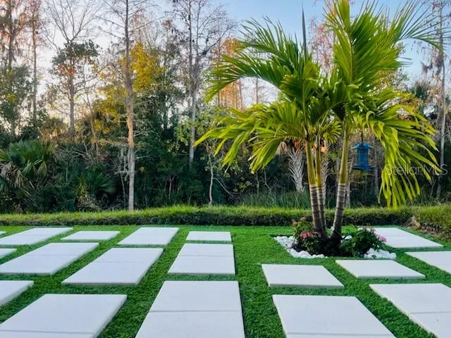 a view of a park with plants and palm trees